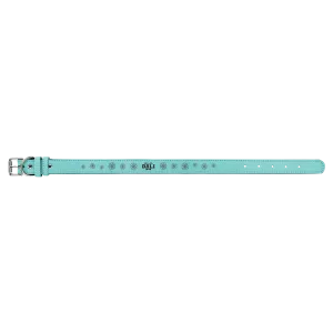 23X1" TEAL DOG COLLAR