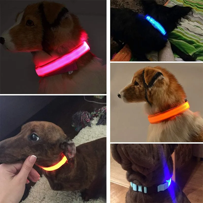Adjustable Light Up LED Glowing Pet Collar for Dogs & Cats