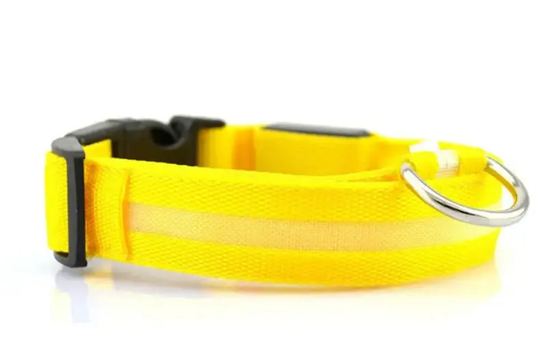Adjustable Light Up LED Glowing Pet Collar for Dogs & Cats