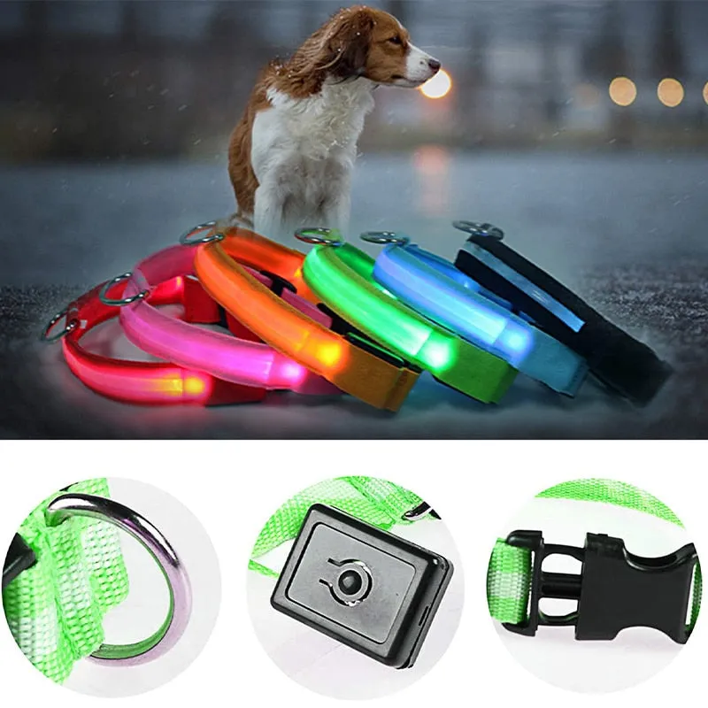 Adjustable Light Up LED Glowing Pet Collar for Dogs & Cats