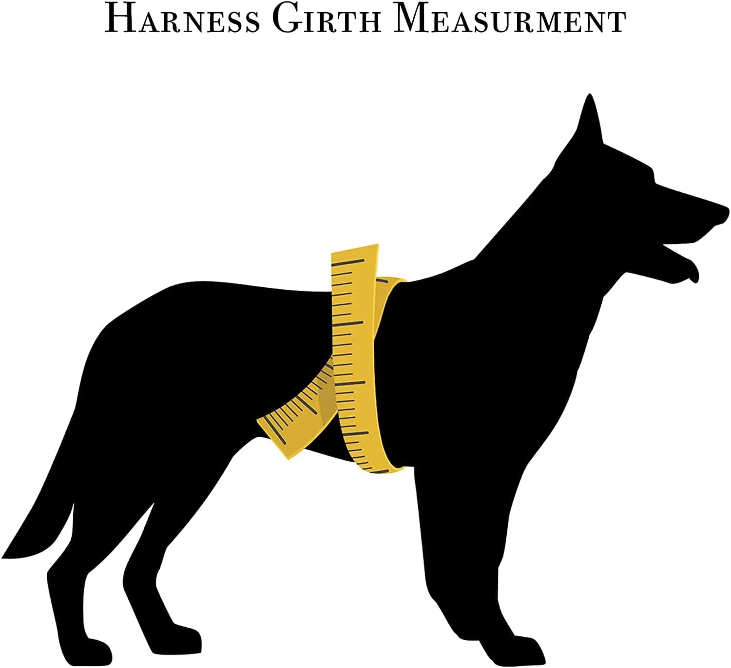 All Weather Biothane Dog Harness (Medium, Black)