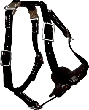 All Weather Biothane Dog Harness (Medium, Black)