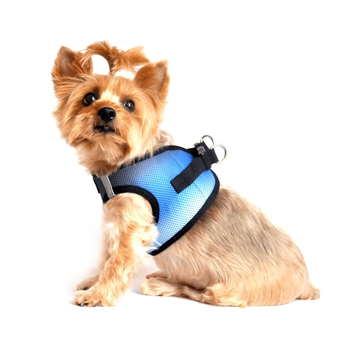 American River Choke Free Dog Harness - Ombre Midnight Sky