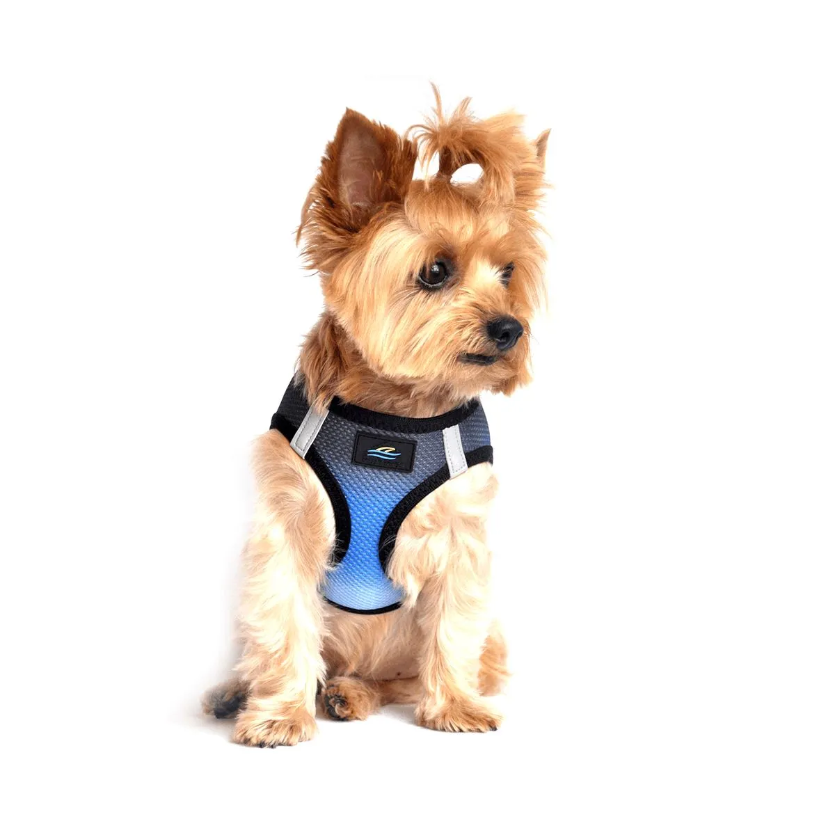 American River Choke Free Dog Harness - Ombre Midnight Sky