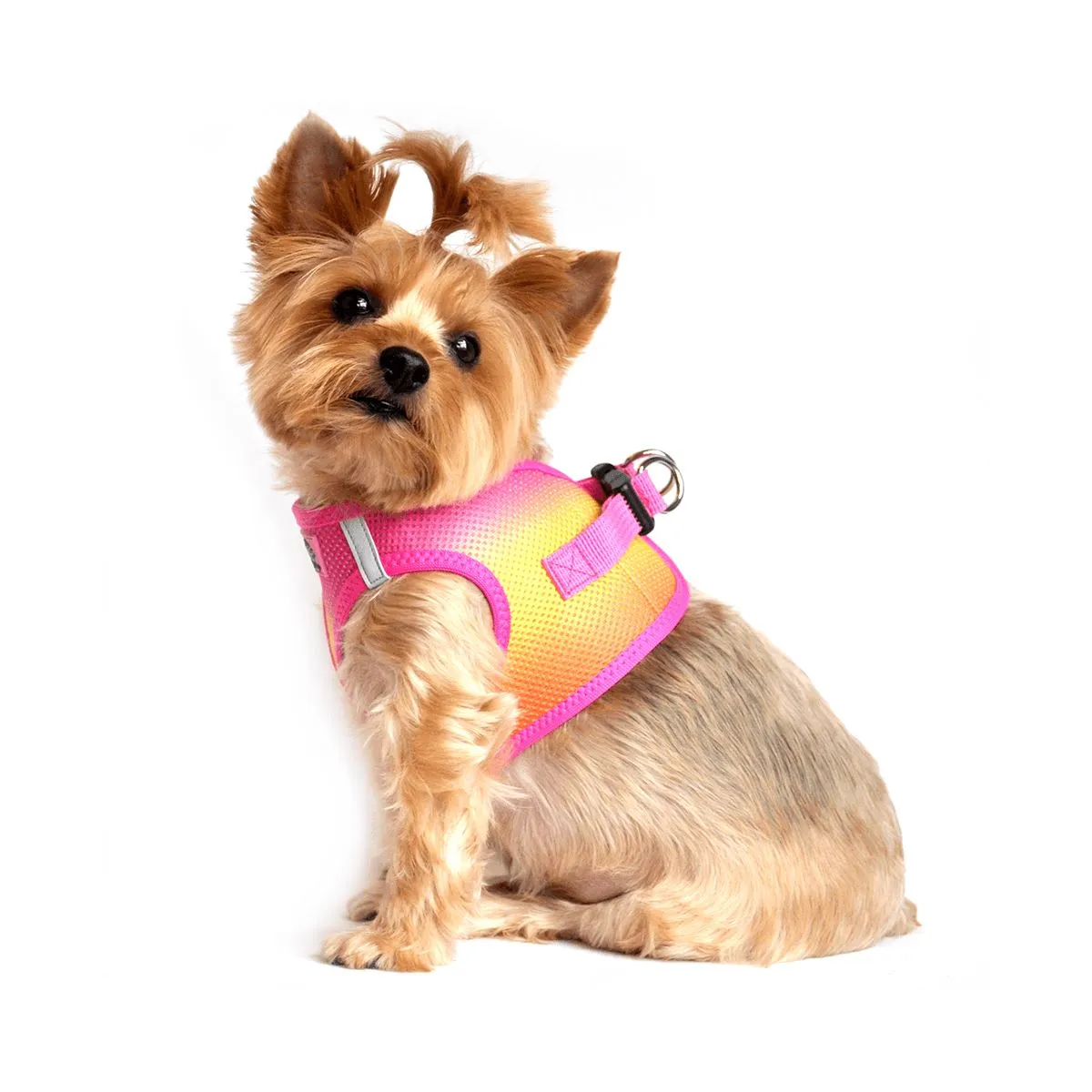 American River Choke Free Dog Harness - Ombre Raspberry Pink & Orange