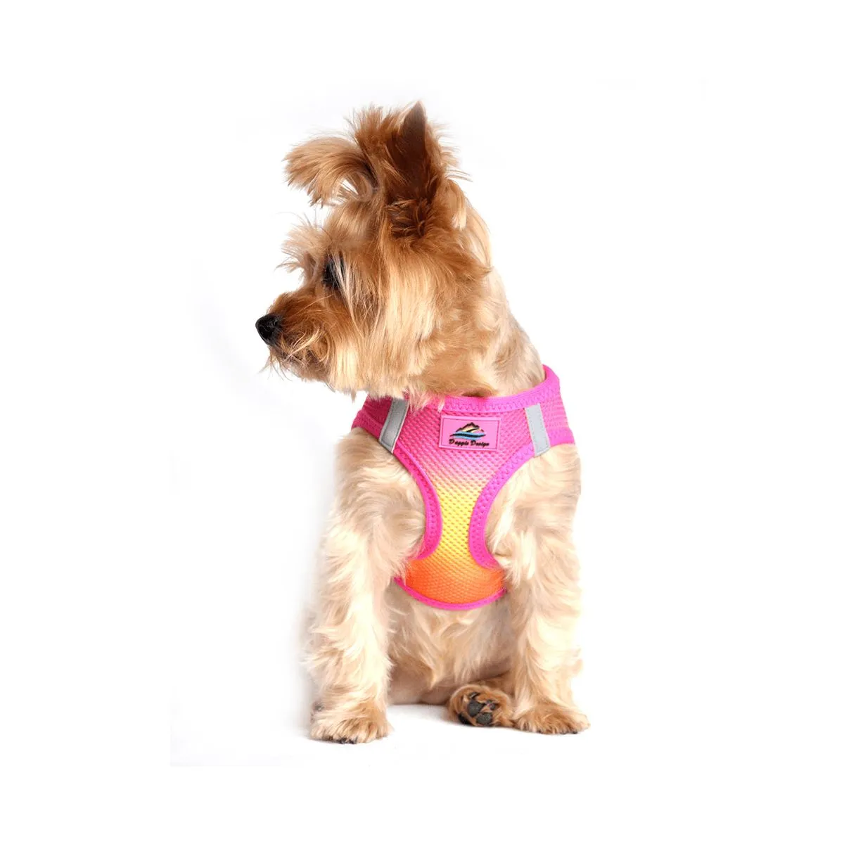 American River Choke Free Dog Harness - Ombre Raspberry Pink & Orange