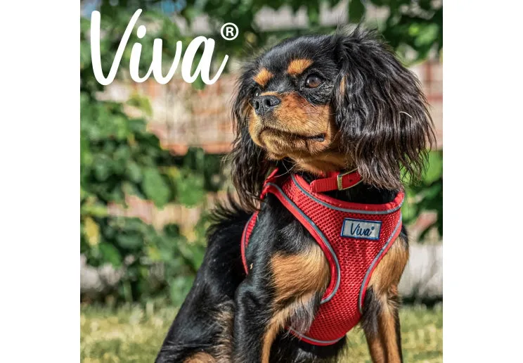 Ancol - Viva Step-in Harness - Black - Medium