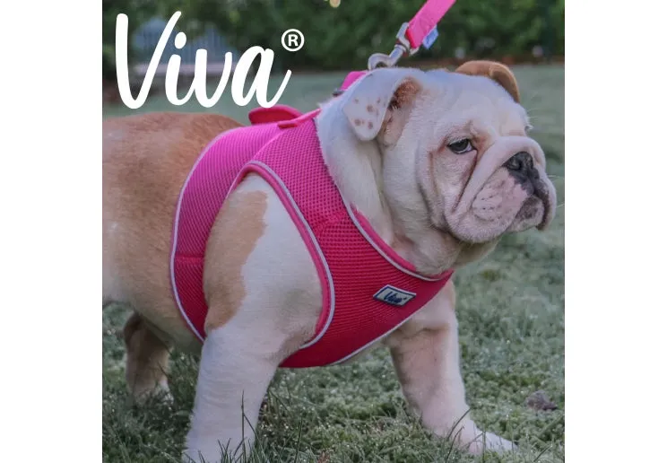 Ancol - Viva Step-in Harness - Black - Medium