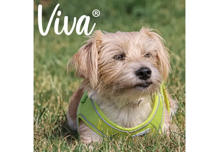 Ancol - Viva Step-in Harness - Black - Medium