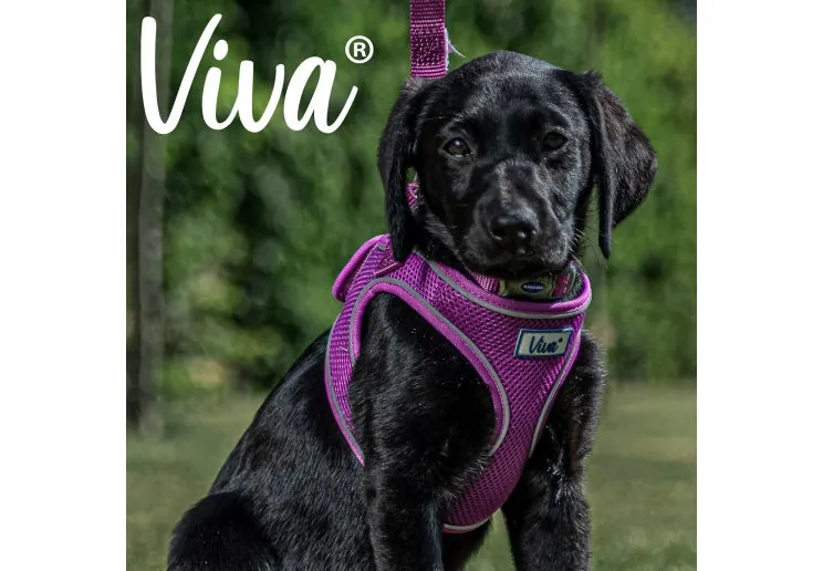 Ancol - Viva Step-in Harness - Black - Medium