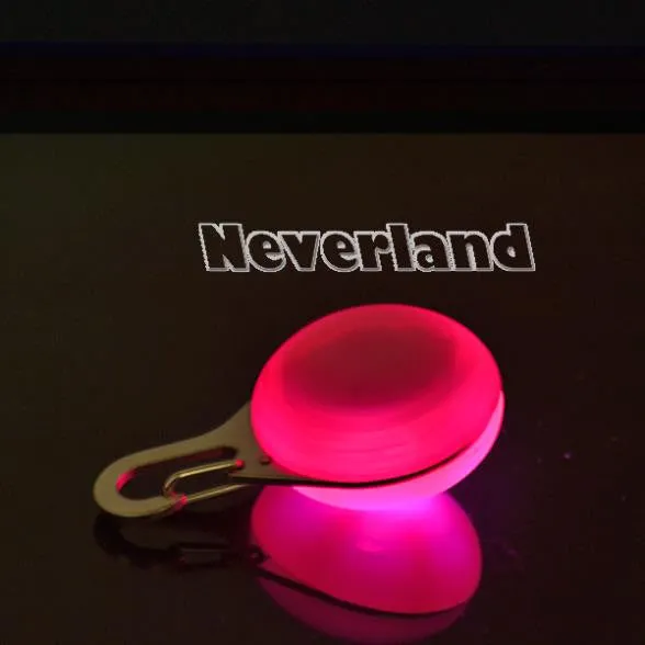 Bright Dog Pet LED Night Safety Flash Light for Collar 2017