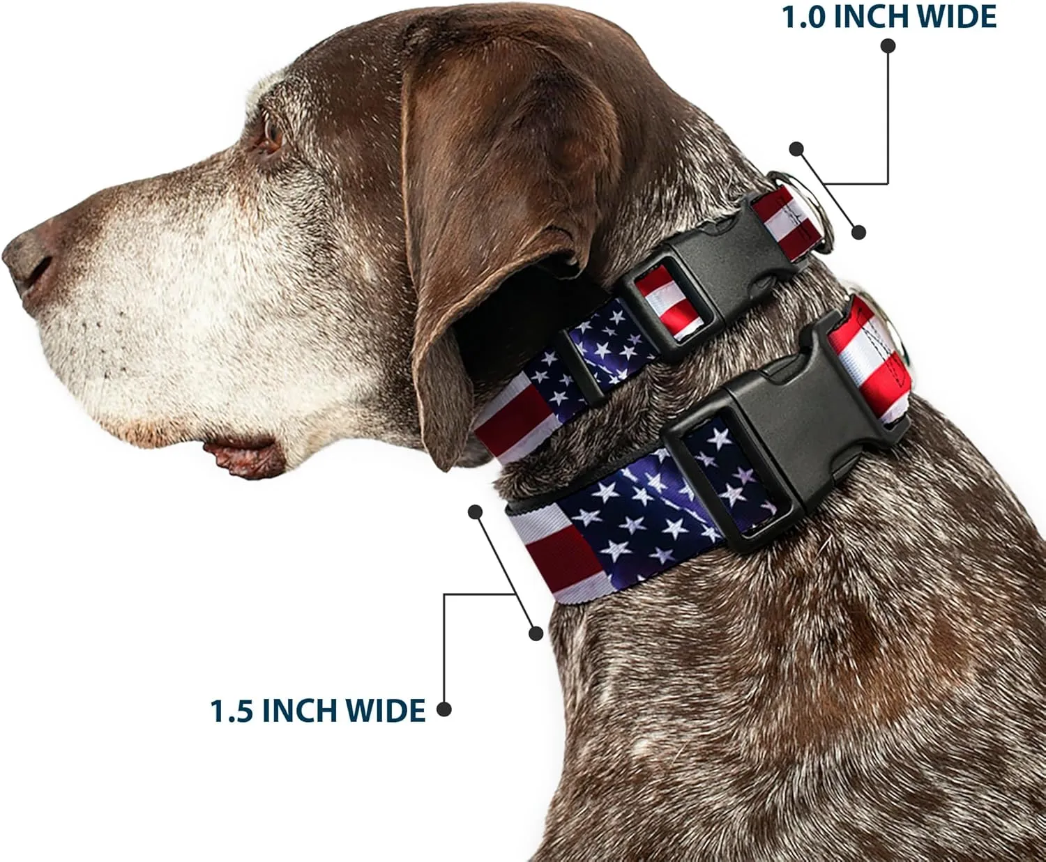 Buckle-Down PC-W30158-S An Flag Vivid Close-Up Plastic Clip Collar, Small/9-15"
