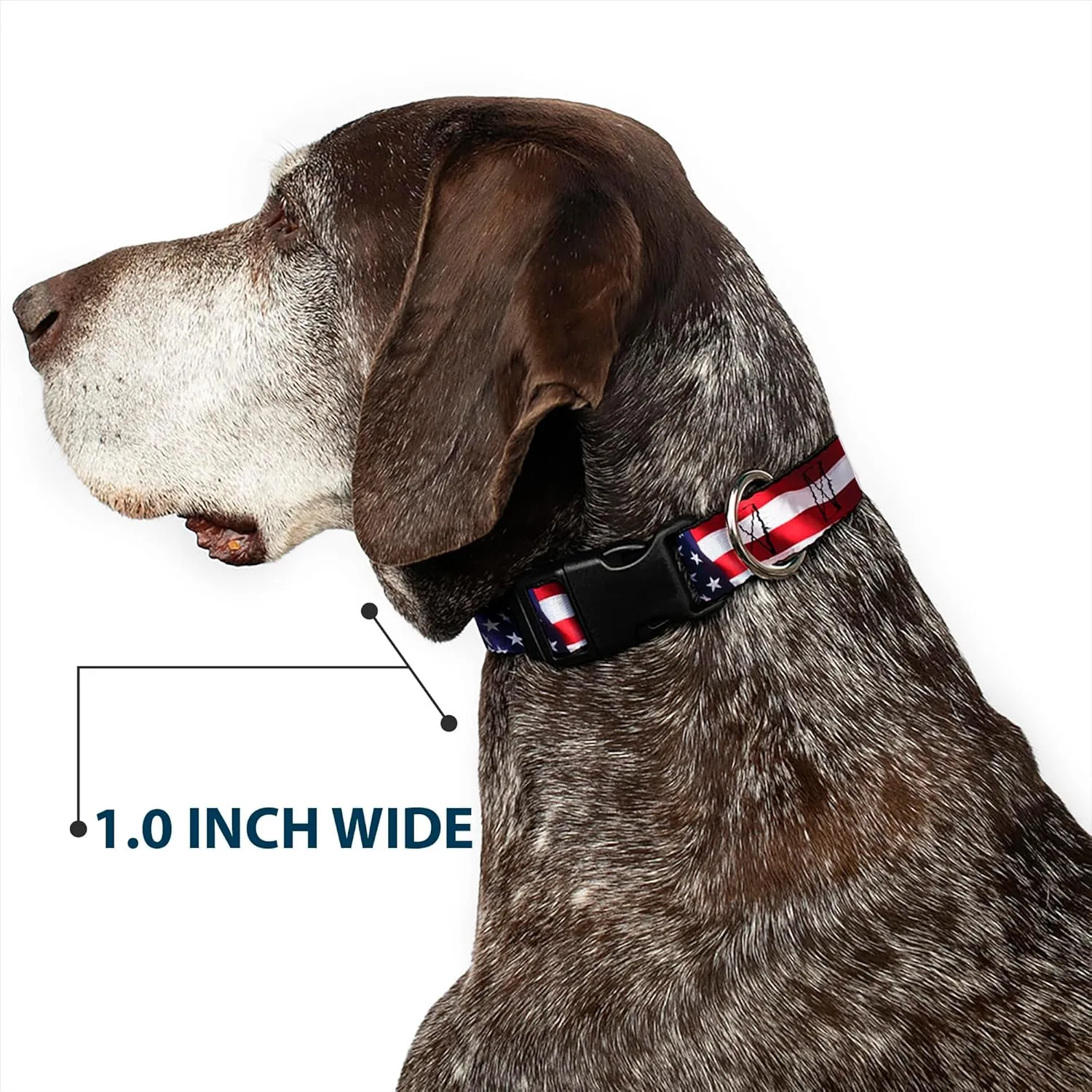 Buckle-Down PC-W30158-S An Flag Vivid Close-Up Plastic Clip Collar, Small/9-15"