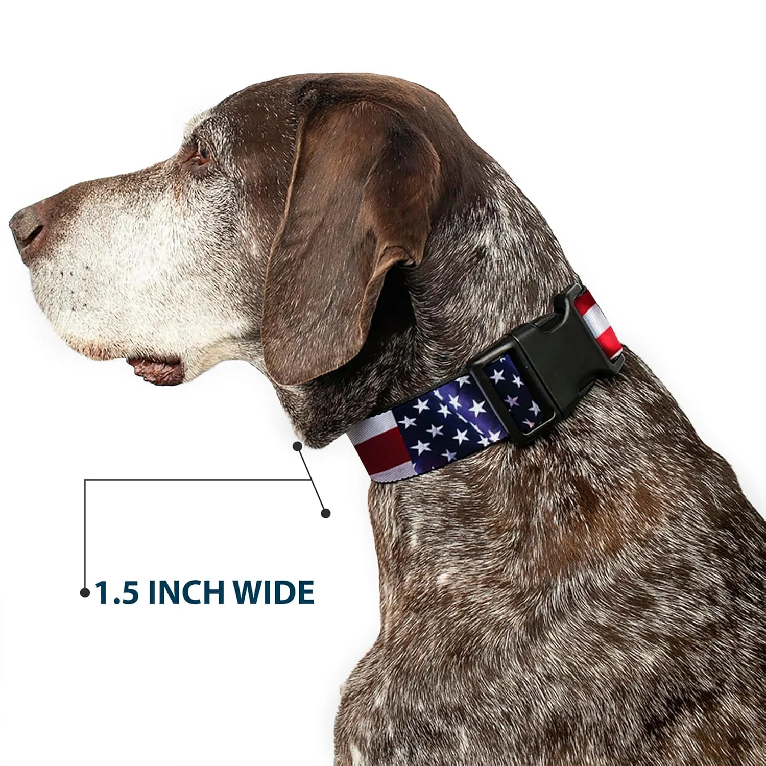 Buckle-Down PC-W30158-S An Flag Vivid Close-Up Plastic Clip Collar, Small/9-15"
