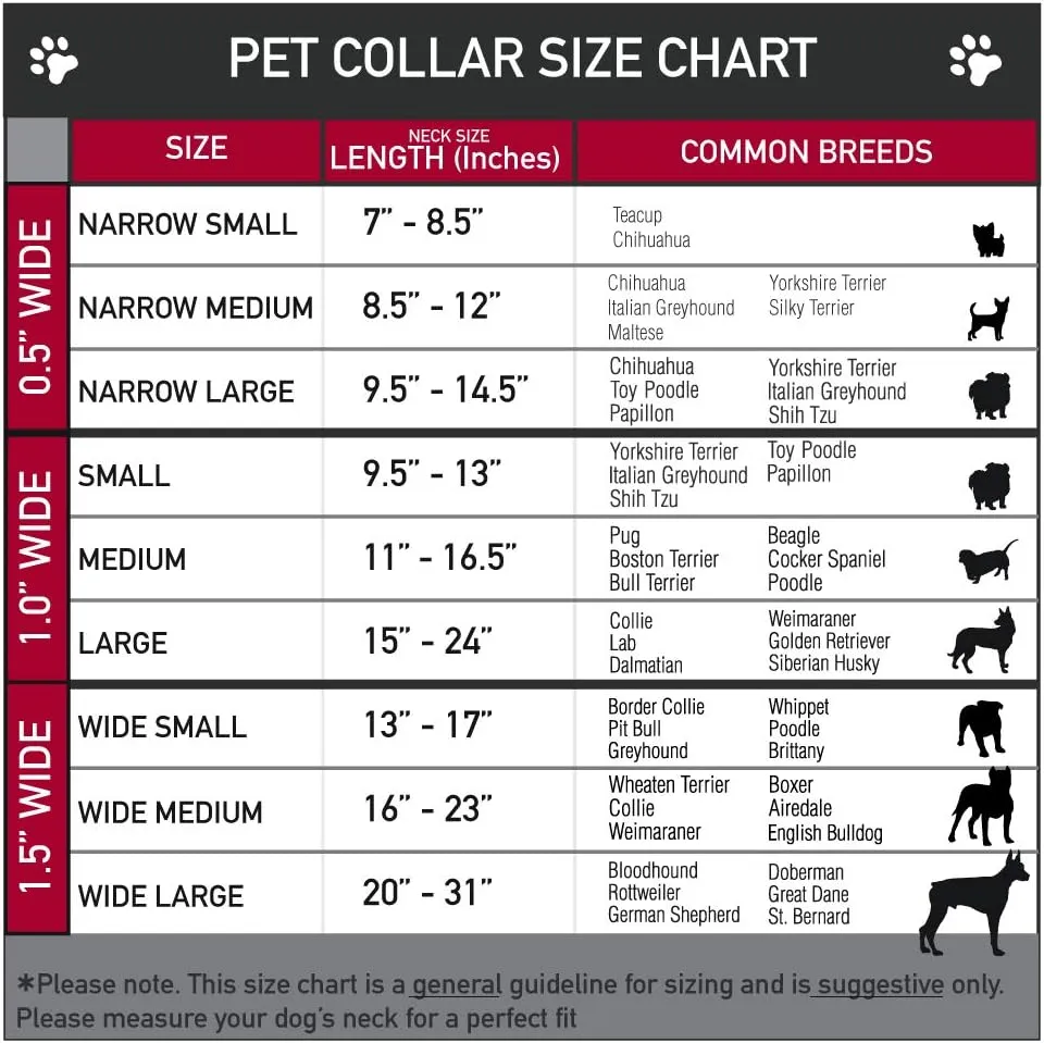 Buckle-Down PC-W30158-S An Flag Vivid Close-Up Plastic Clip Collar, Small/9-15"
