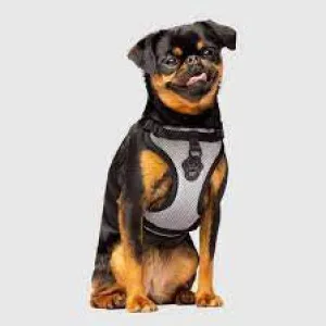 Canada Pooch No-Pull Harness (Waterproof) for Dogs (Reflective)