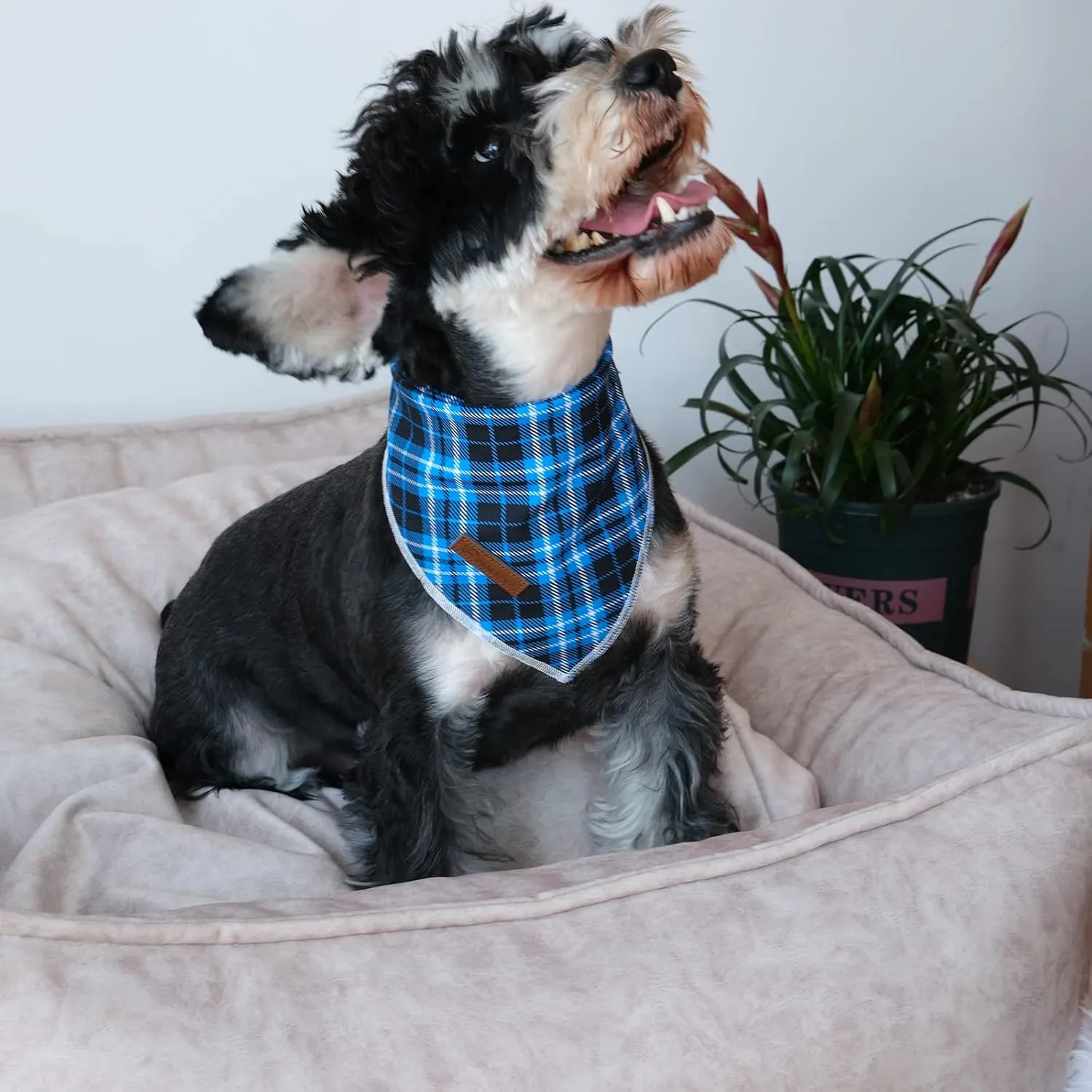 Christmas Dog Bandana, UP URARA PUP Blue Plaid Triangle Bid Scarf, Cotton Pet Kerchief for Girl Boy Dogs or Cats, Blue Winter Dog Bandana, Fancy for Puppy