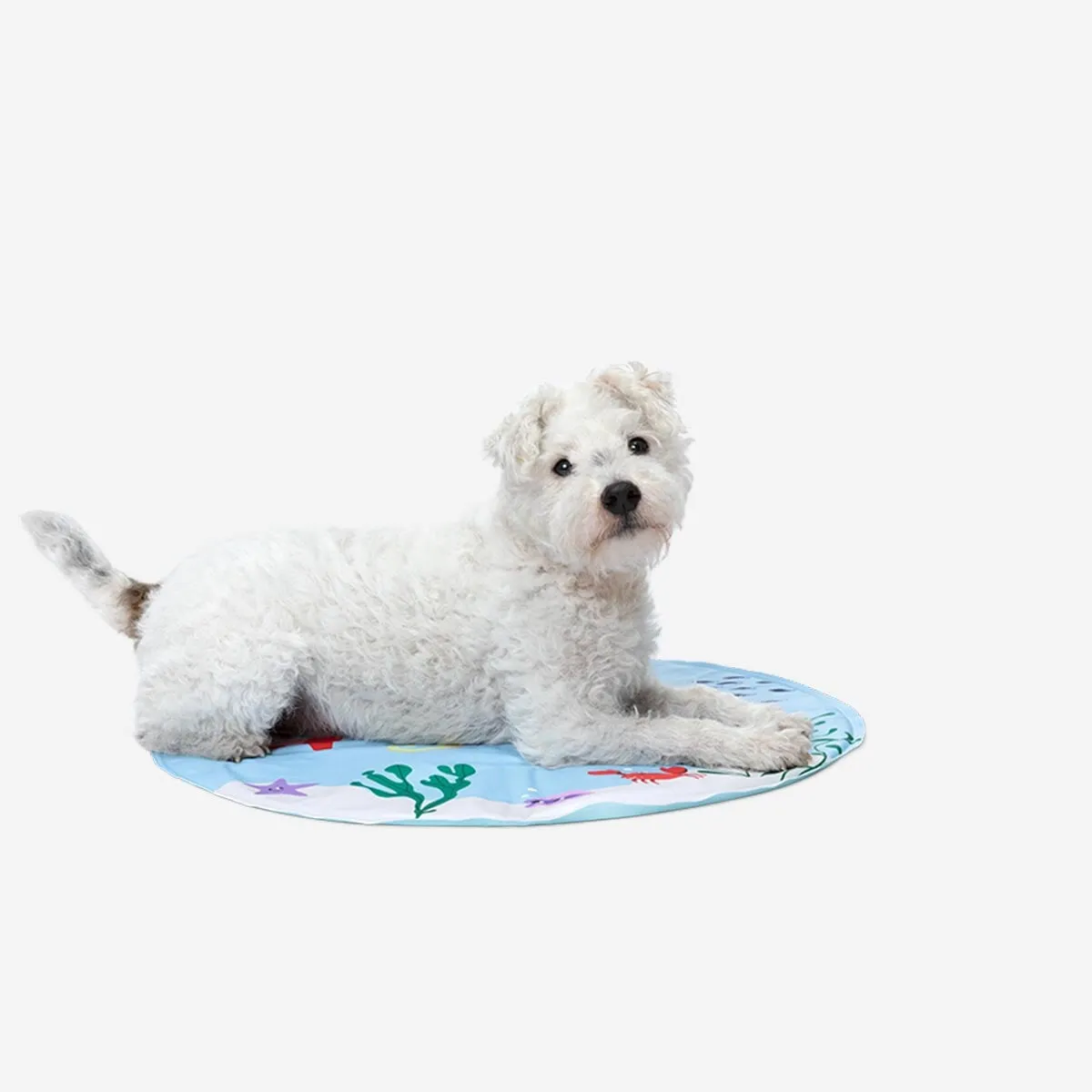 Cooling mat. For pets