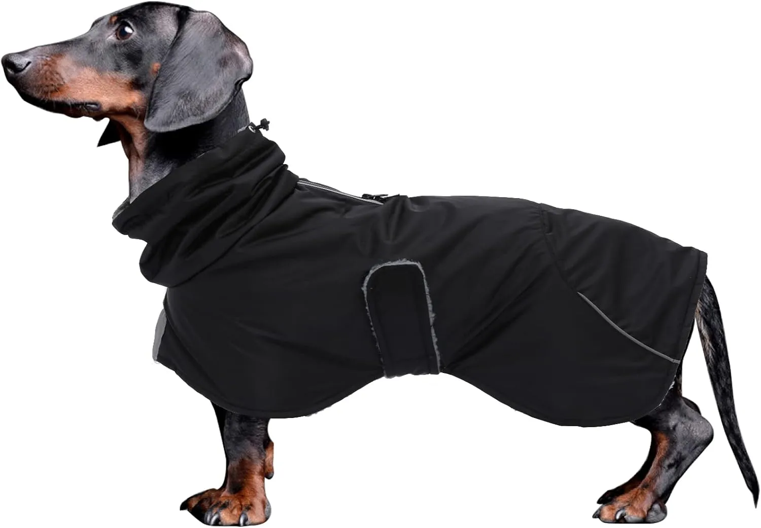Dachshund Coats Waterproof, Perfect for Dachshunds, Sausage, Weiner Dog Winter Coat with Padded Fleece, Puppy Snowsuit with Adjustable Bands and High Vis Reflective Trim - Black - M