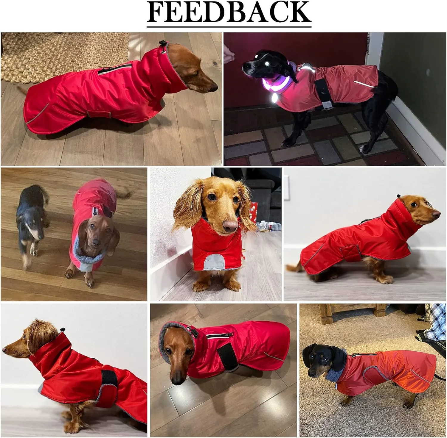 Dachshund Coats Waterproof, Perfect for Dachshunds, Sausage, Weiner Dog Winter Coat with Padded Fleece, Puppy Snowsuit with Adjustable Bands and High Vis Reflective Trim - Pink - M