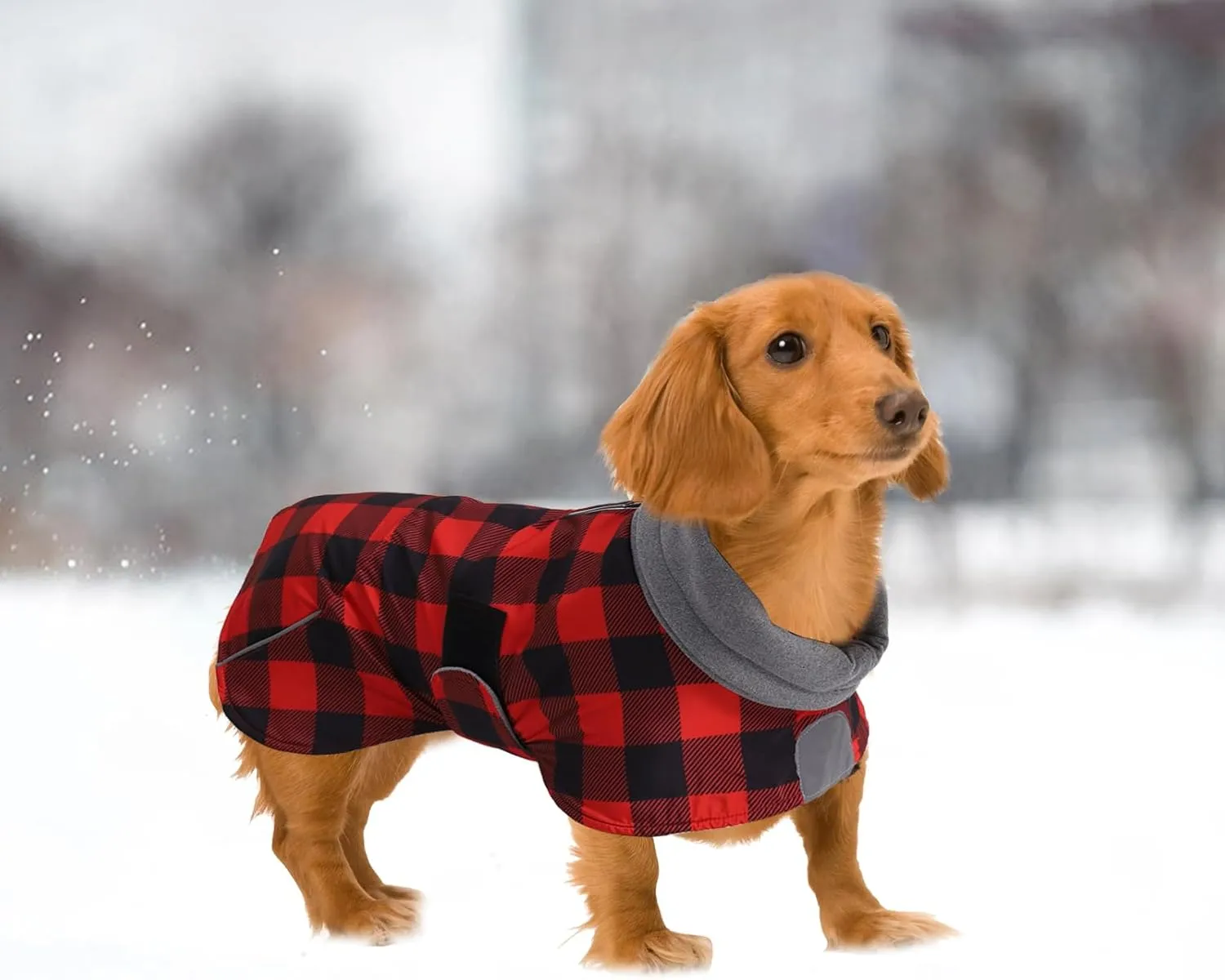 Dachshund Coats Waterproof Suitable for Dachshunds Sausage Weiner Dog Winter Coat Padded Fleece Puppy Snowsuit with Adjustable Bands Reflective Stripe - Plaid Red - XS