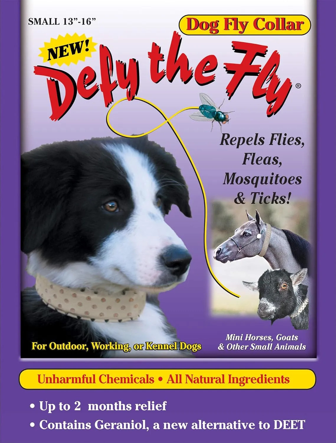 Defy The Fly Dog Collar - 13" to 16" Size Small