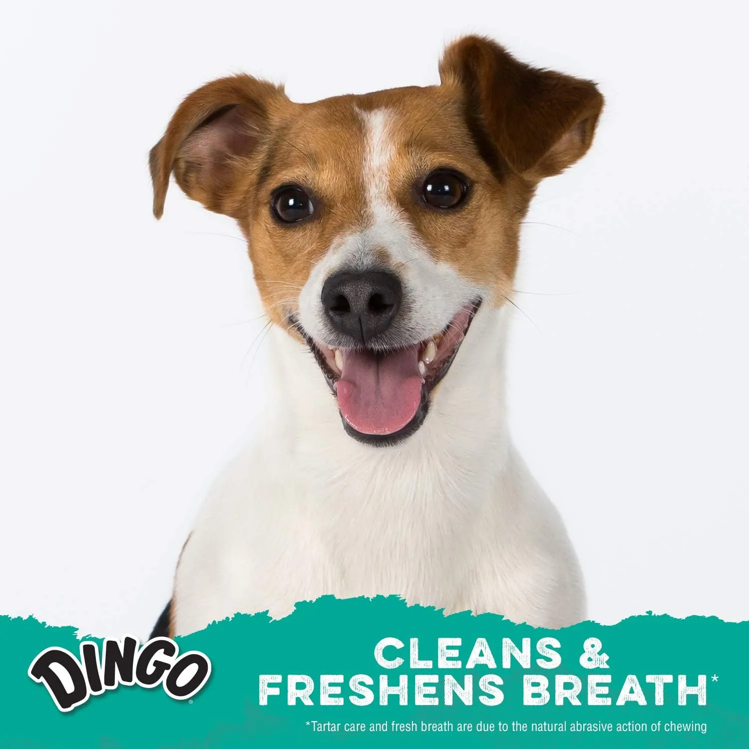 Dingo Dental Spirals With Real Parsley Flavor For Dogs, 360 Ct