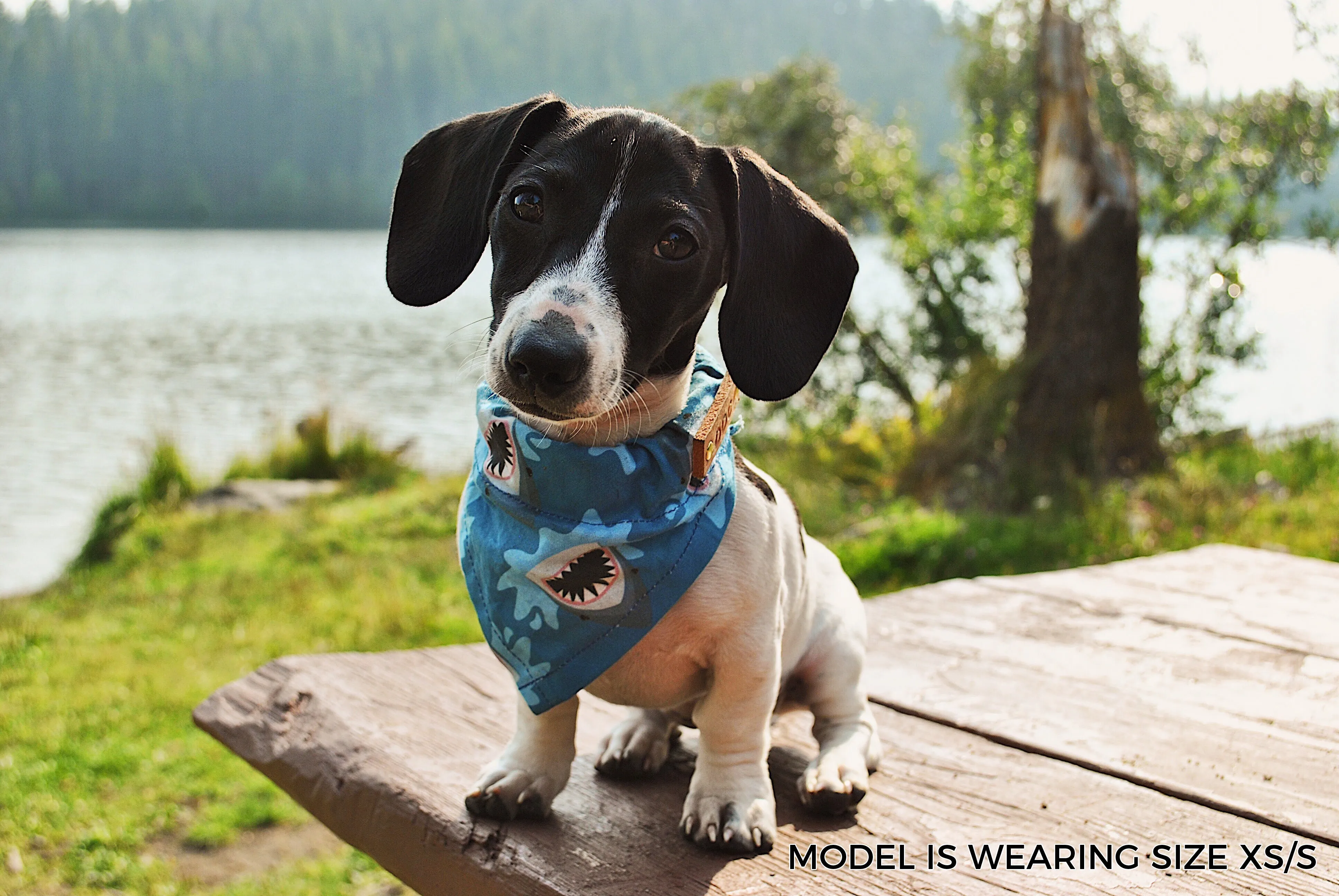 Dog Bandana - Donut Holes Canada Day Cotton Dog Scarf