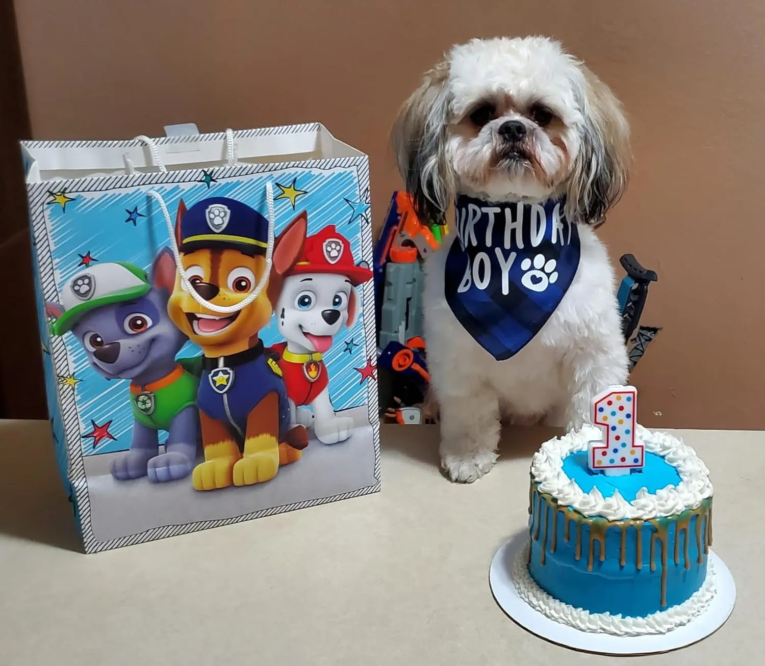 Dog Birthday Boy Bandana