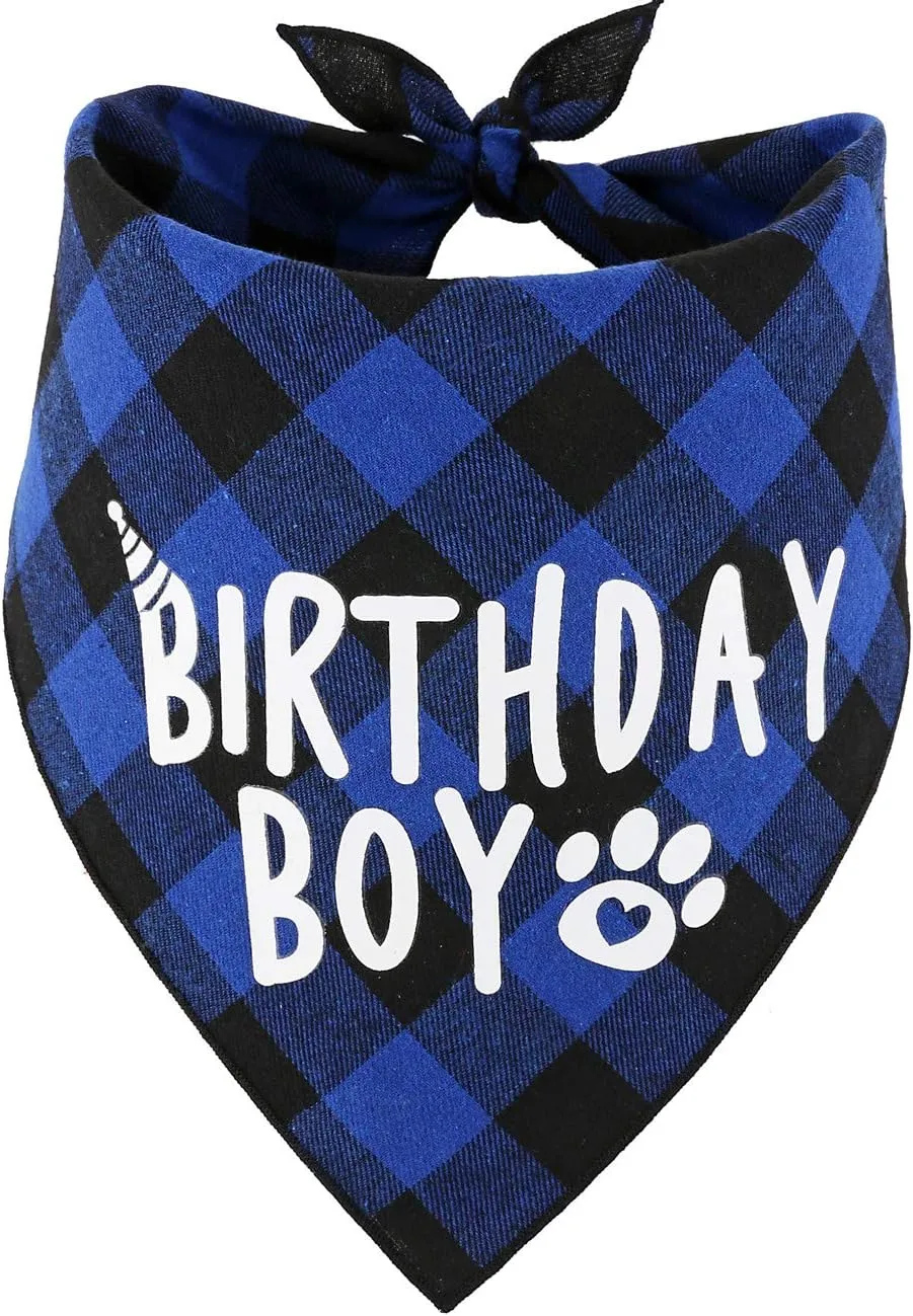 Dog Birthday Boy Bandana