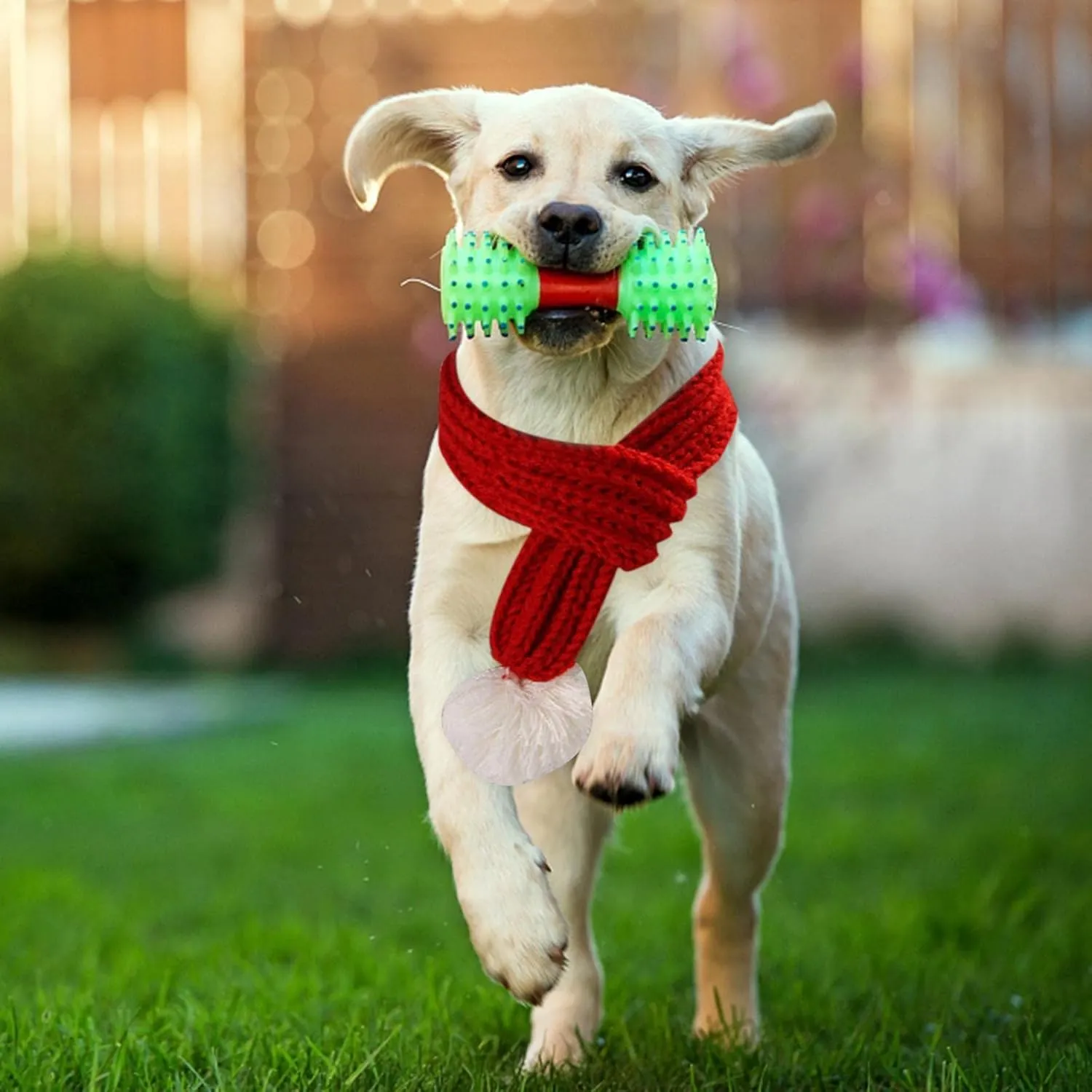 Dog Cat Knitted Christmas Scarf Neck Warmer with Santa Hat Set Xmas Pet Puppy Costume (Medium, Red)