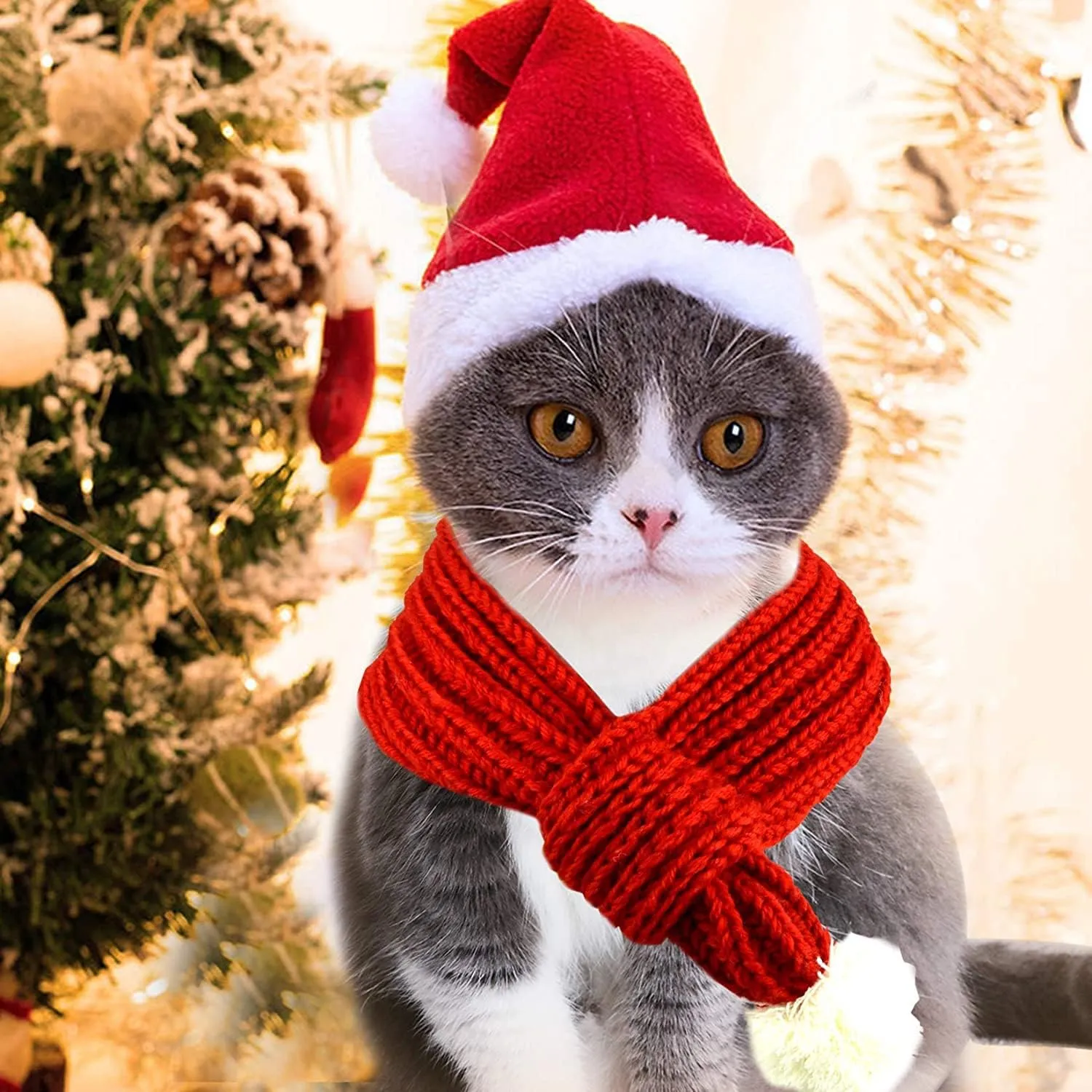 Dog Cat Knitted Christmas Scarf Neck Warmer with Santa Hat Set Xmas Pet Puppy Costume (Medium, Red)