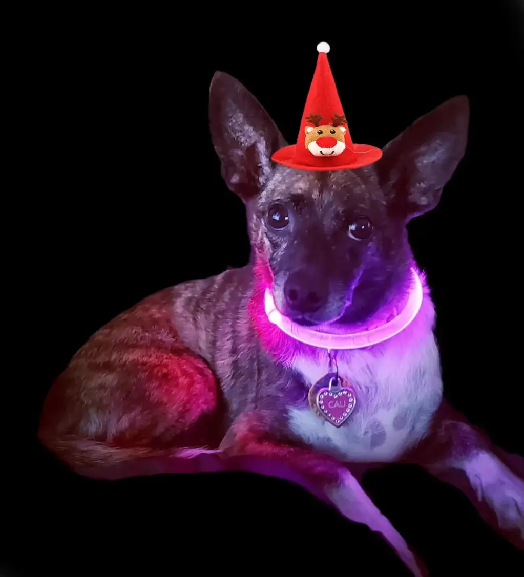 Dog collars Light up Collar LED Collar Light up Cat Collar USB Rechargeable Collar Christmas Decoration Pet Collar Pet Christmas Gifts