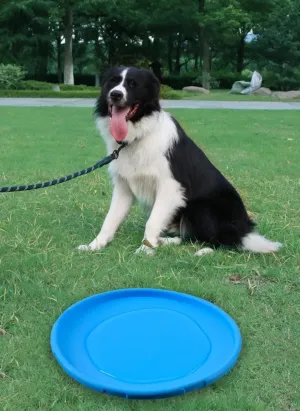 Dog Flying Disc Dog ToyDurable Dog Toys, Nature Rubber Floating Flying Saucer for Water Pool Beach (Yellow)