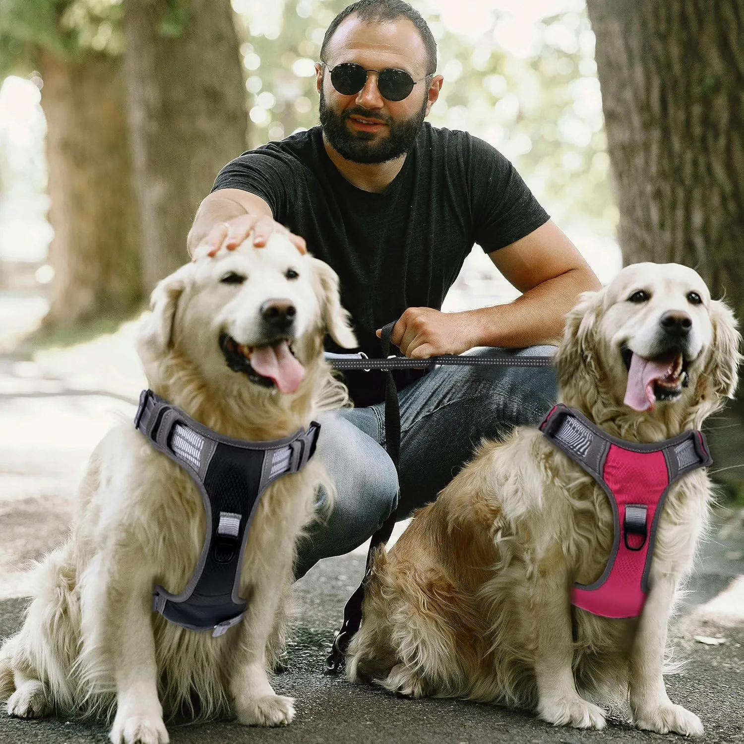 Dog Harness for Large Dogs Breathable Dog Harness and Leash Set, Soft Dog Vest Harness Reflective Puppy Harness No Pull with Handle Suit for 27-39lbsRose Red M Size