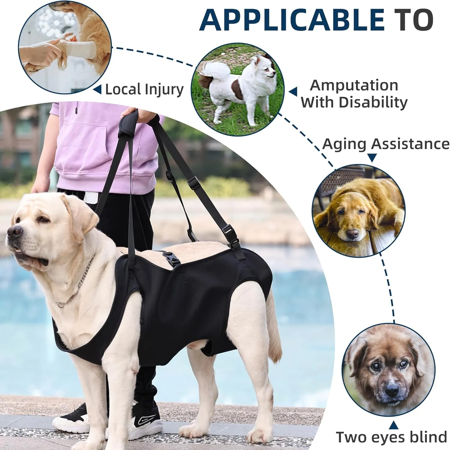 Dog Lift Harness, Emergency Backpack Pet Legs Support & Rehabilitation Sling Carrier, Adjustable Lifting Straps Carrier for Senior Elderly Dogs Joint Injuries Arthritis S