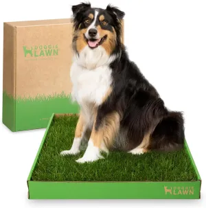 DoggieLawn Real Grass Puppy Pee Pads- 24 x 24 Inches - Perfect Indoor Litter Box for Dogs - No Mess, Easy-to-Use - Potty Training for Pets - Eco-Friendly Disposable Bathroom with Real Living Grass