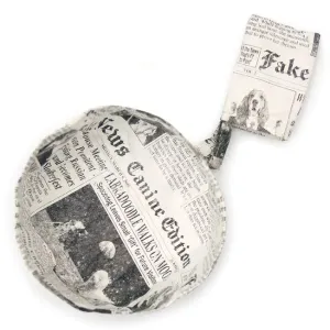 Doggy Fake News Water Bowl