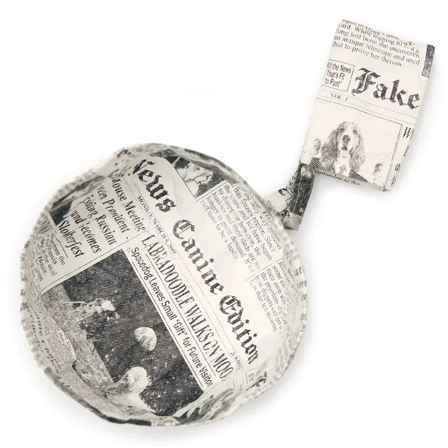 Doggy Fake News Water Bowl