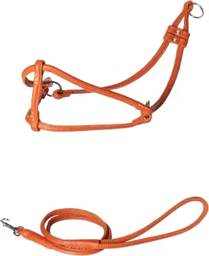 Dogline Soft Round/Rolled Genuine Leather Step-In Harness with 15 to 20-Inch Chest and 36-Inch Leash, Orange