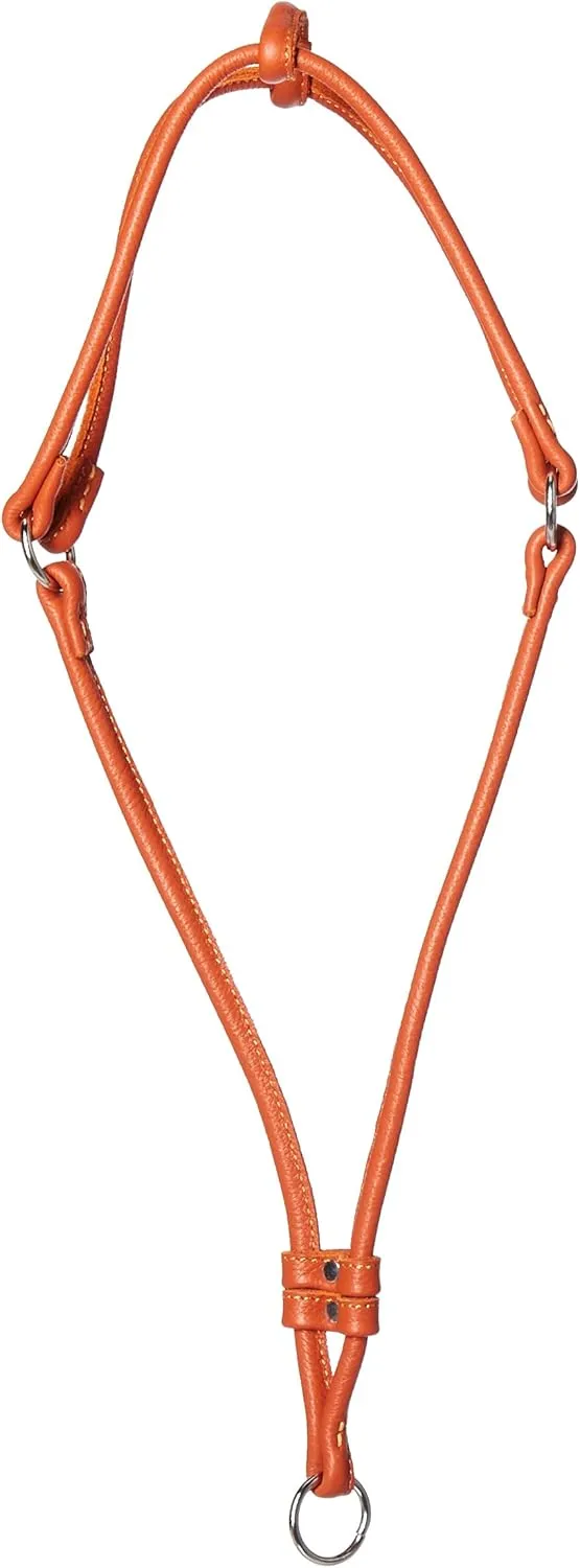 Dogline Soft Round/Rolled Genuine Leather Step-In Harness with 15 to 20-Inch Chest and 36-Inch Leash, Orange