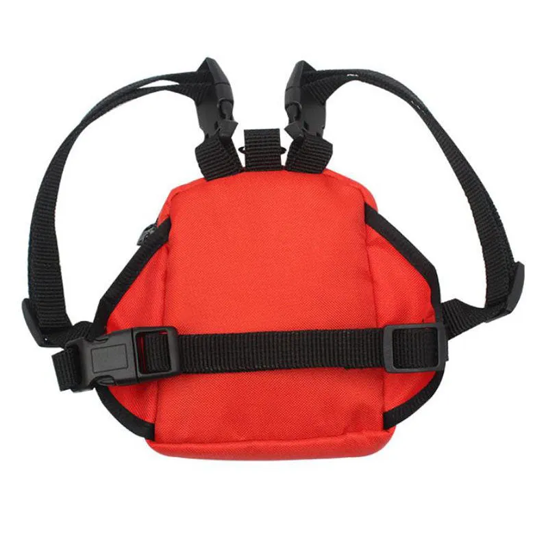 Dogs and cats go out and carry their backpacks