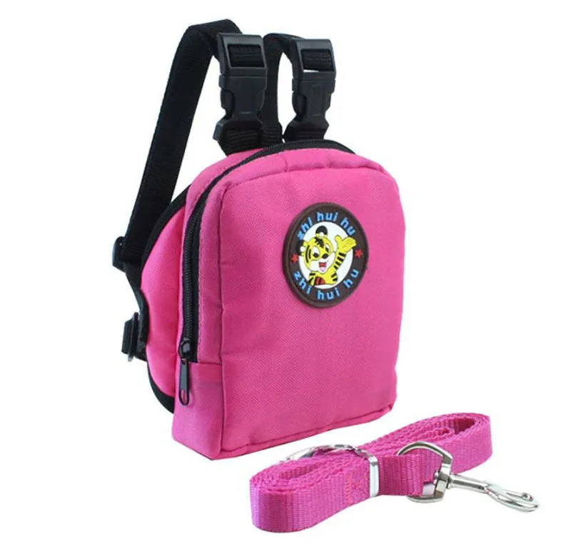 Dogs and cats go out and carry their backpacks