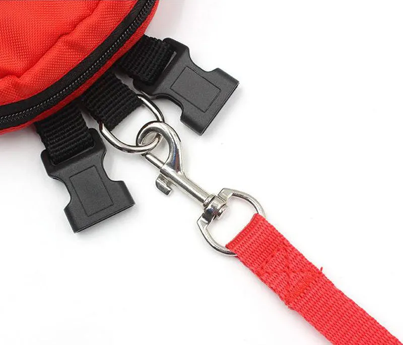 Dogs and cats go out and carry their backpacks