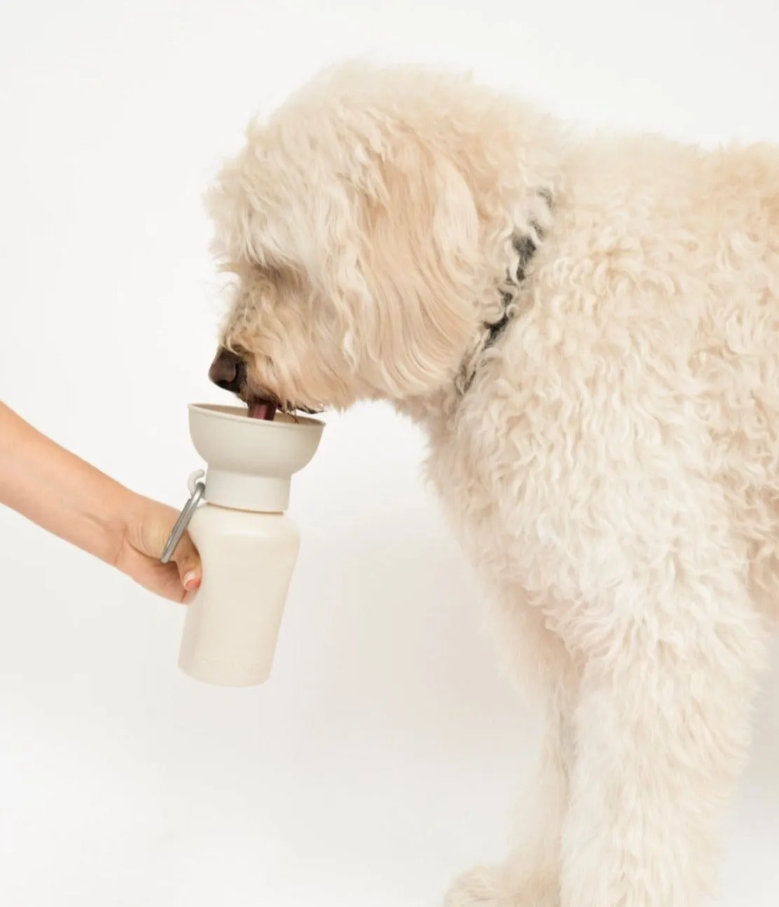 Flip Dog Travel Bottle