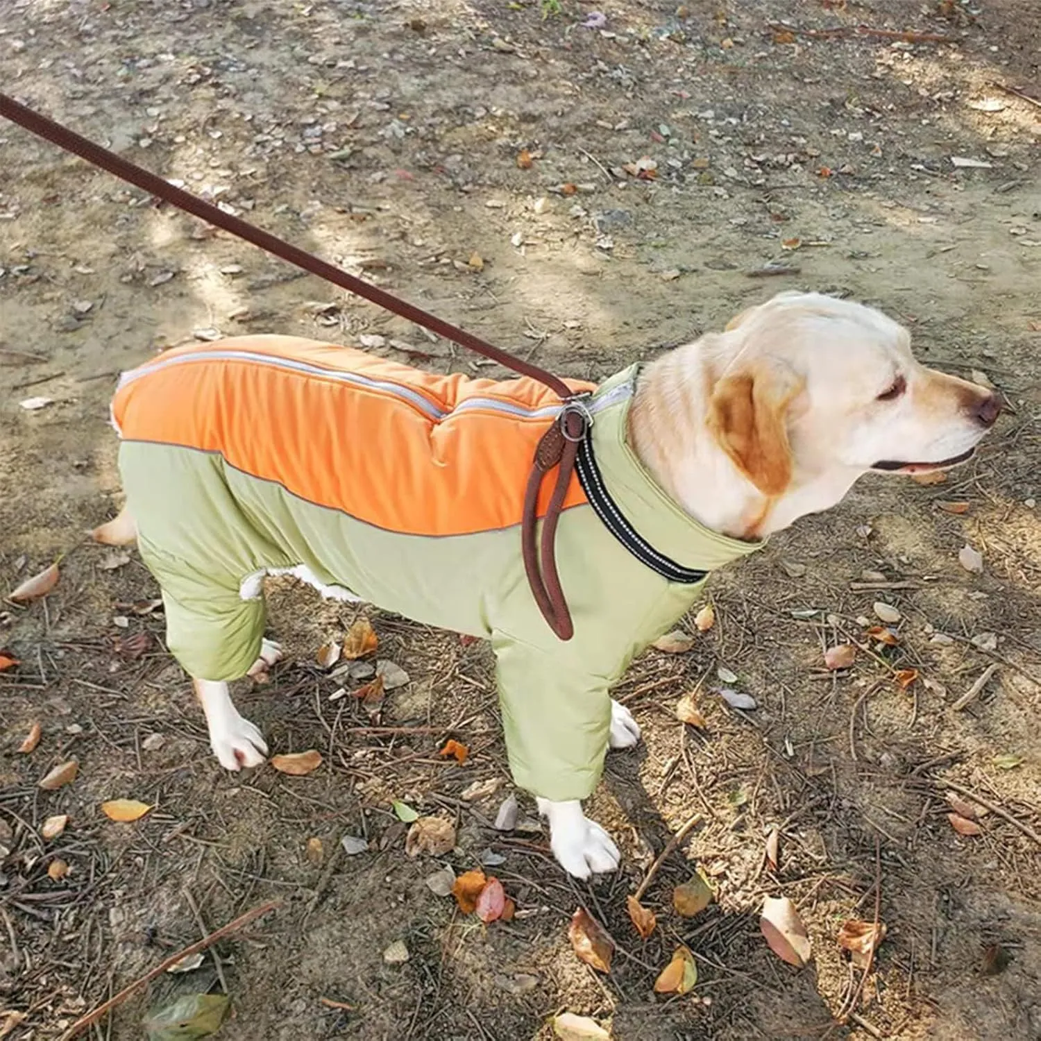Fullbody Warm Winter Coat for Dogs, Zip Up Reflective Fleece Lined Dog Jacket, Windproof Waterproof Dog Snowsuit with Harness, LightGreen,10