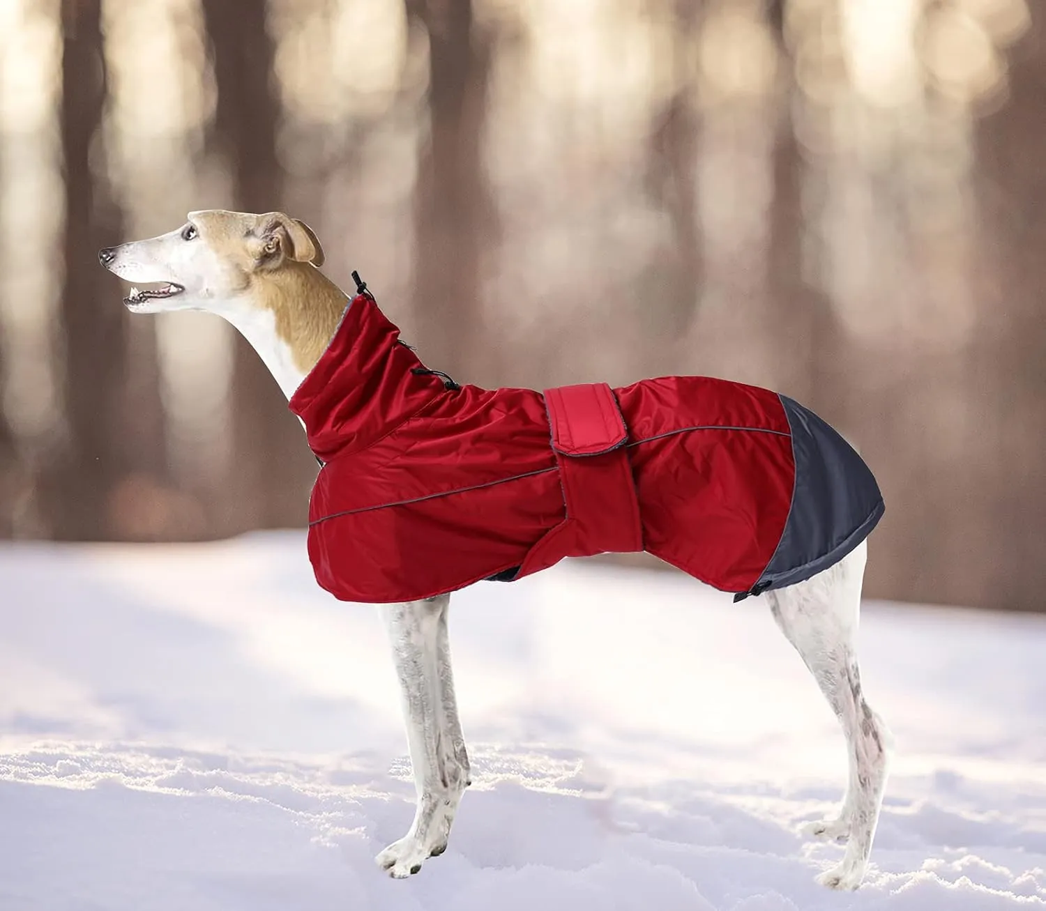 Greyhound Lurcher Winter Coat, Whippet Jacket with Padded Fleece, Water Resistant Dog Snowsuit with Adjustable Bands and High Reflective be Safety - Red - XLarge