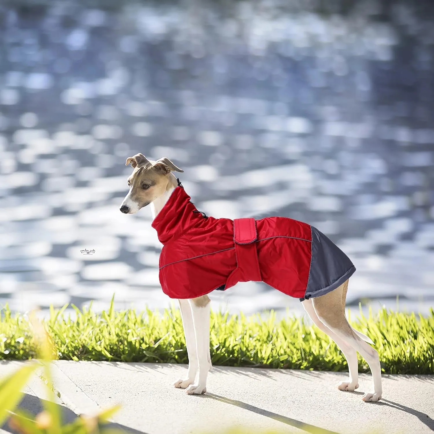 Greyhound Lurcher Winter Coat, Whippet Jacket with Padded Fleece, Water Resistant Dog Snowsuit with Adjustable Bands and High Reflective be Safety - Red - XLarge