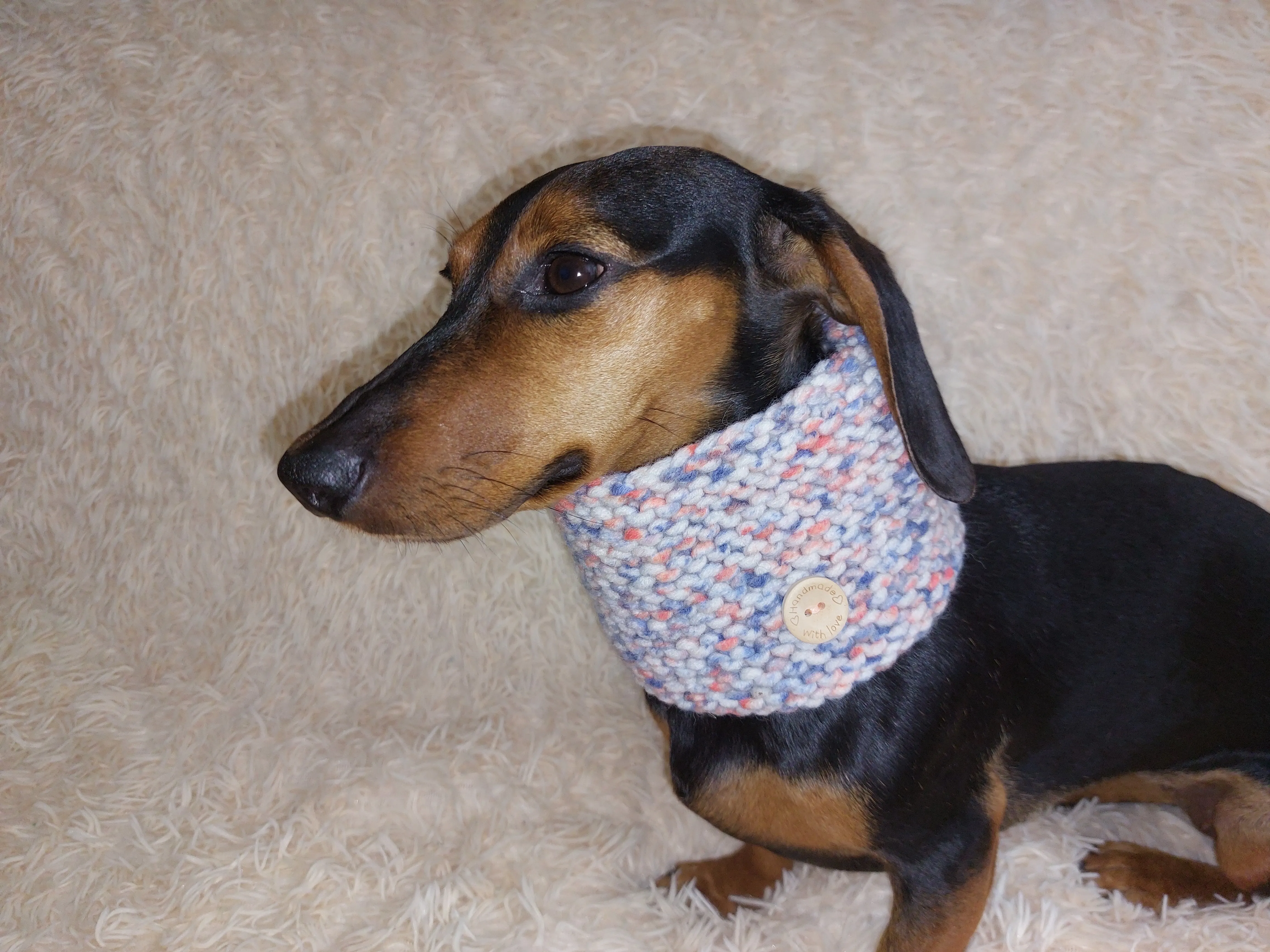 Handmade wool snood hat for a dog