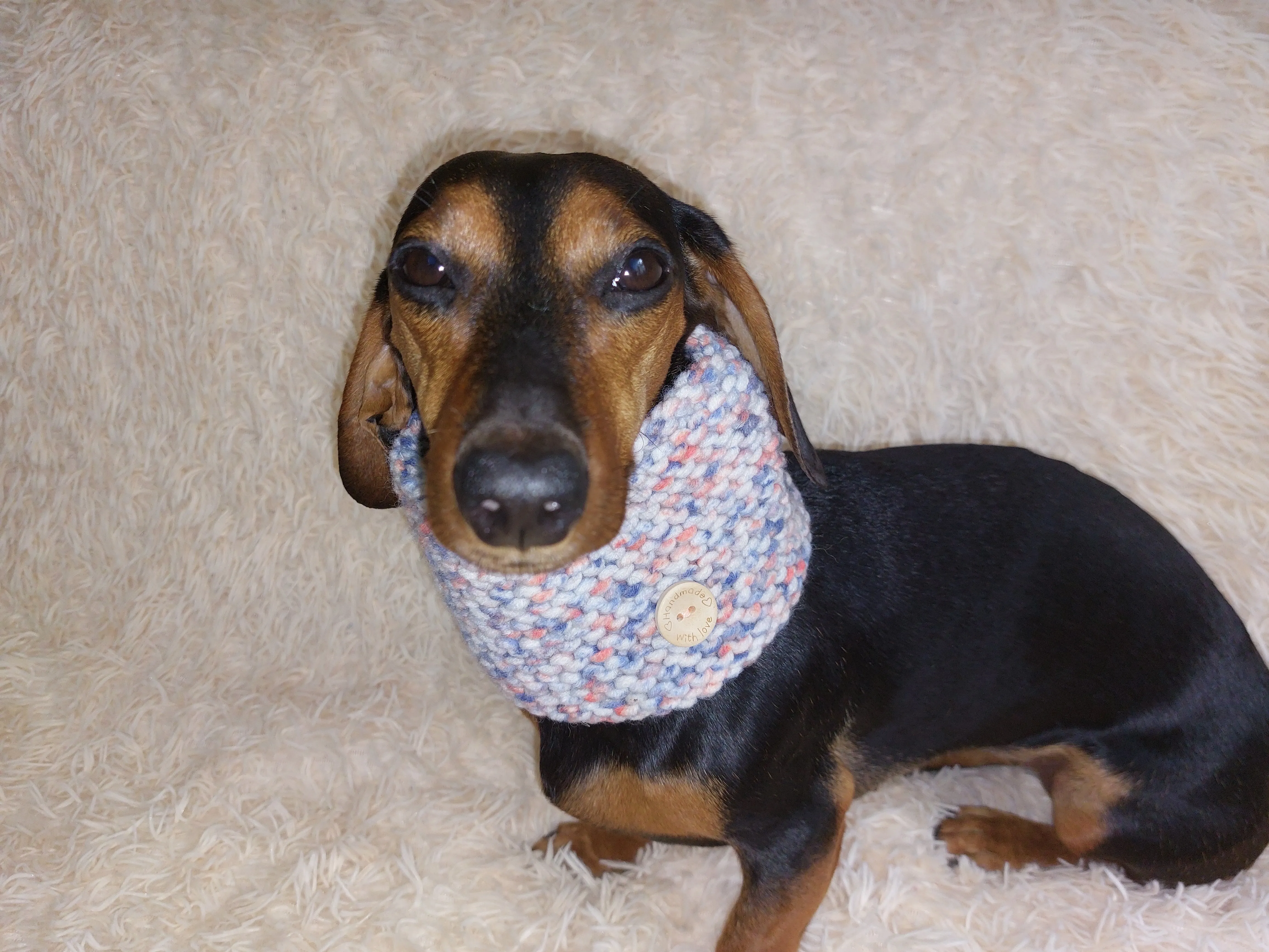 Handmade wool snood hat for a dog